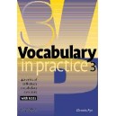 Vocabulary in Practice 3 With Tests / Glennis Pye