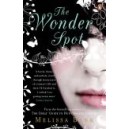 The Wonder Spot / Melissa Bank