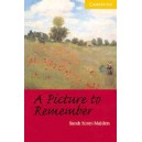 A Picture to Remember / Sarah Scott-Malden