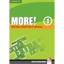 More! 1 Extra Practice Book / Maria Cleary, Herbert Puchta, Jeff Stranks