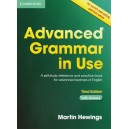 Advanced grammmar in Use with key, 3th Edition. Martin Hewings