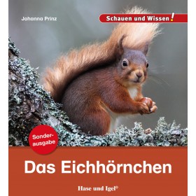 Das Eichhörnchen Lektüre für Kinder