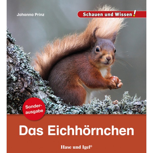 Das Eichhörnchen Lektüre für Kinder