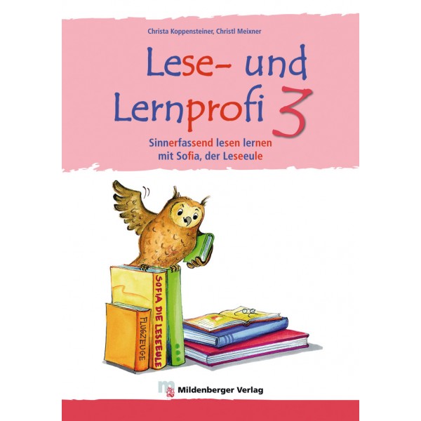 Lese- und Lernprofi 3 – Schülerarbeitsheft – silbierte Ausgabe Leseheft