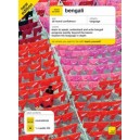 Teach Yourself: Bengali + CD Pack / William Radice