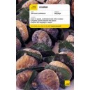 Teach Yourself: Croatian + CD Pack / David Norris, Vladislava Ribnikar