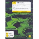 Teach Yourself: Indonesian + CD Pack / Christopher Byrnes, Eva Nyimas