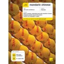 Teach Yourself: Mandarin Chinese + CD Pack / Elizabeth Scurfield